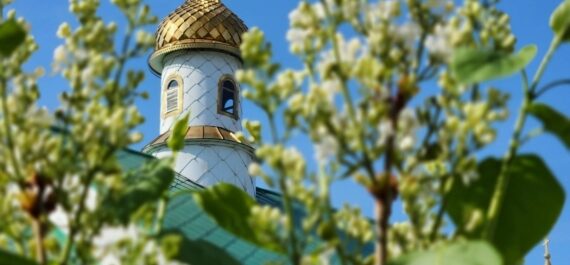 Благодарим доброхотов и жертвователей