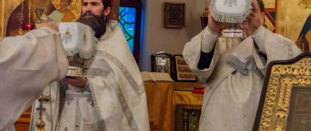 Поздравление с днём Собора Архистратига Михаила и прочих Небесных Сил бесплотных!